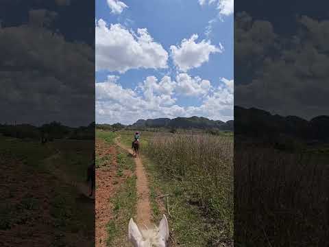 Viñales Valley, Cuba