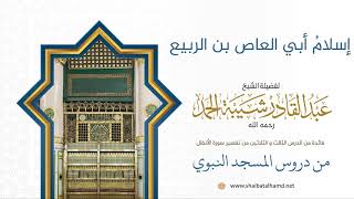 صورة إسلامُ أبي العاص بن الربيع | لفضيلة الشيخ عبدالقادر شيبة الحمد رحمه الله 318