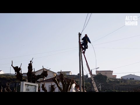 Fibra ótica em todas as freguesias