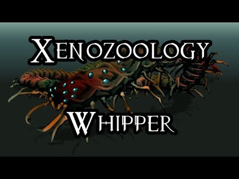 Xenozoology: Whipper - 40K Theories