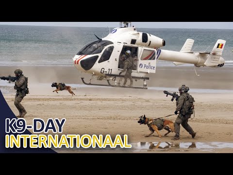 Politie | International k9 day | Police | België | Speurhonden | surveillancehonden