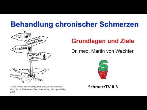 Behandlung chronischer Schmerzen - Grundlagen und Ziele