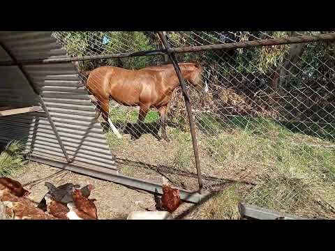 Bienvenidos a la quinta del abuelo