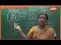 Human Body Organ System Urinary System Biology 9th Std Science
