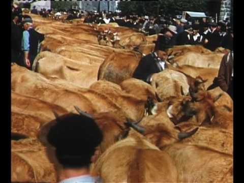 La fièira de Laguiòla