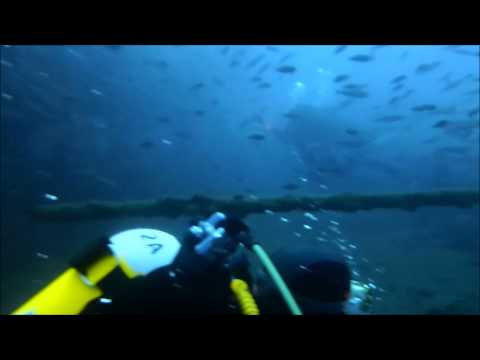 Divetime 10/05/2015 - Haven