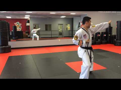 Mr  Yu ATA Choong Jung 2 angle 2 Red Belt Form