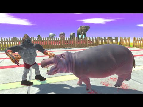 1v1 + TIGER vs BERSERGER GORİLLA | CAPE BUFFALO - HIPPOPOTAMUS - ARBS IKNYRGB