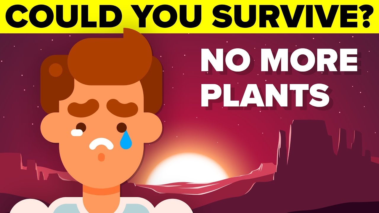 What would happen if all plants were removed? Tipseri