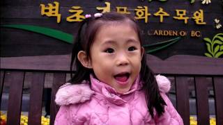 preview picture of video '2011.10.29 벽초지문화수목원 (Byeokchoji Botanical Garden)'