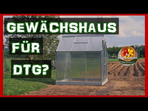 E.P.H. Schmidt Gewächshaus Venus 3800 - 3,8qm | HKP 4mm | aluminium-blank E.P.H. Schmidt Gewächshaus Venus 3800 - 3,8qm | HKP 4mm | aluminium-blank