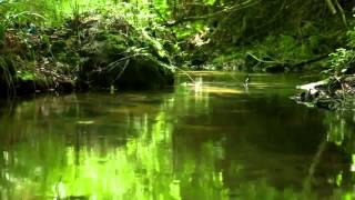 Amethystium   Transience