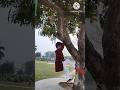 Abhi Ko Bacha Lo Thottupaar Aadi Maasa Kaathad Video Srikanth Deva Shorts Viral Trending