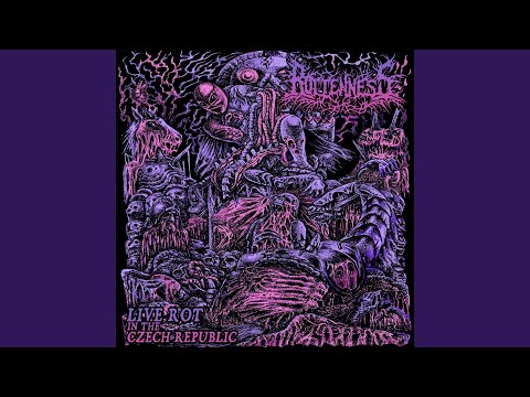 Paranoid Butcher / Nightmare Killing Spree (Live)