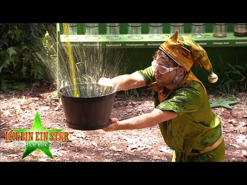 Dschungelcamp 2020 | Dschungelprüfung: Die Sternefabrik - Fauler Zauber in der Prüfung