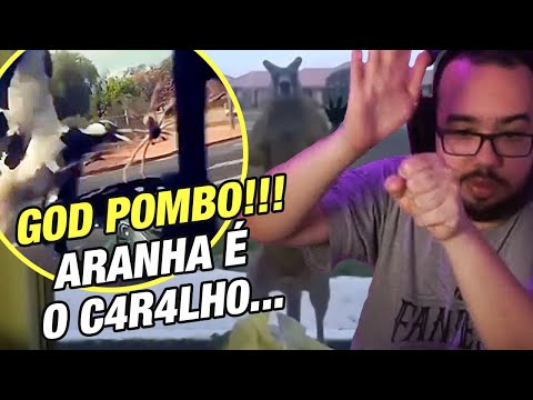 LUDGERO REAGE AOS AUSTRALIANOS SENDO IDIOTAS - Cortes do Ludgero