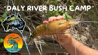 “GIANT CHERABIN”.. CATCH COOK.. NORTHERN TERRITORY.. AUSTRALIA..