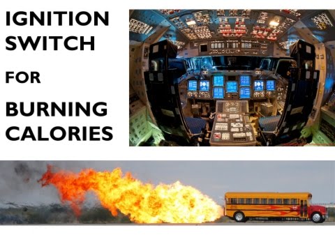 3 Minute Thesis: The ignition switch for burning calories