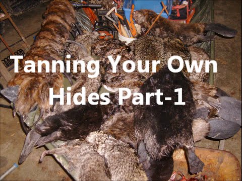 Tanning Your Own Hides Part-1