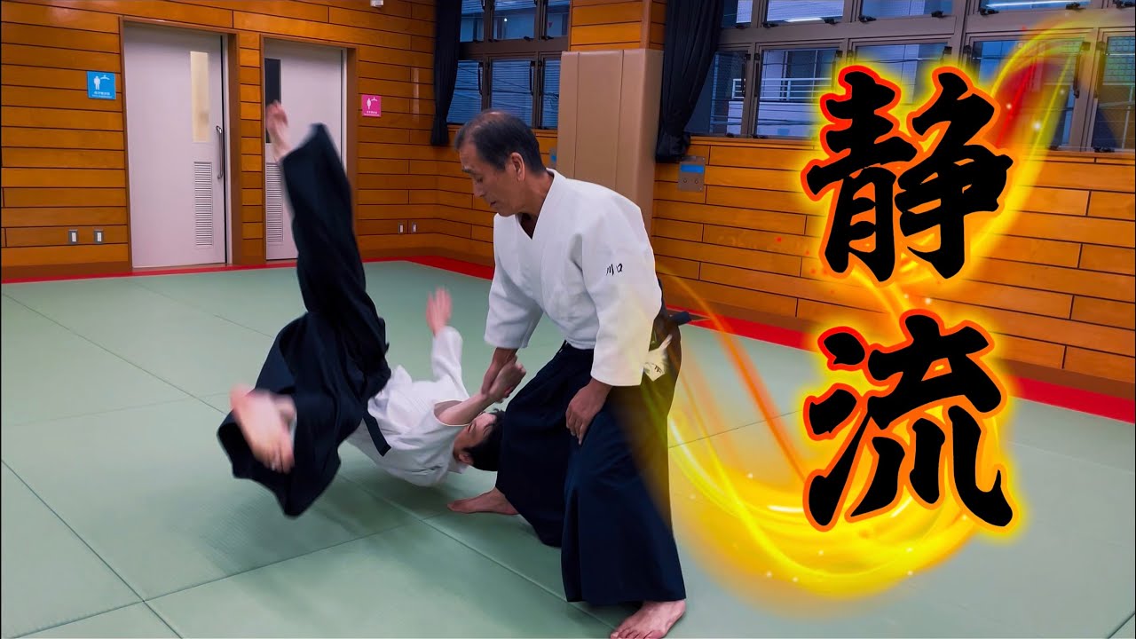 【合気道】静けさは、流れである｜第七回 せせらぎ月島 演武会〈川口 七段位〉総合演武