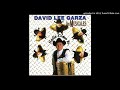 David Lee Garza - Cosa Rica (1999)