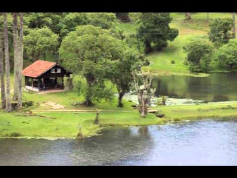 Da Linda Pátria - Vozes da Capital