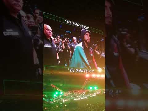 UFC Figth Nigth México Yair Rodríguez walkout ( entrance)