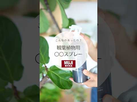 熱帯林では植物の多様性が重要です