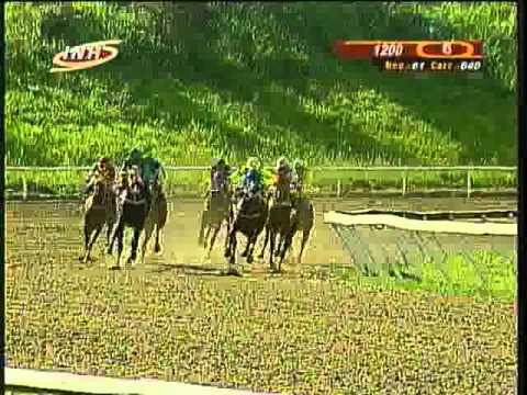 Resumen Sábado, 09 de Agosto de 2014 - La Rinconada