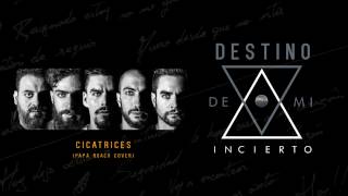 Papa Roach -  Scars -  Cover  by  Destino Incierto  (Spanish version)