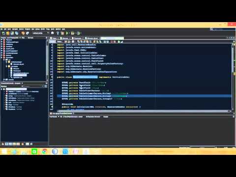 Java FX Hibernate JPA PersonData Program Java Training 2016