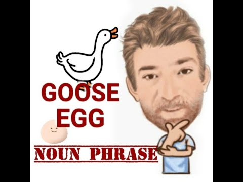 Goose Egg - Noun Phrase (461) English Tutor Nick P - Three Meanings