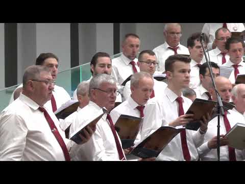 DOAMNE CȂND PRIVESC LA TINE– BCB HARUL LUGOJ - COR BĂRBĂTESC - PRODOCENS MEDIA