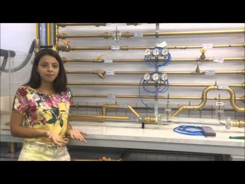 Conceitos Fundamentais Termodinâmica - Daniel Tasaico