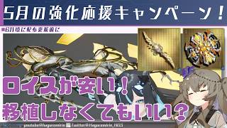 【PSO2NGS】5月の強化応援キャンペーン中に作りたいものについて【VOICEVOX】