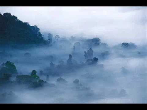 Alexandre Furnelle Orchestra - Vols