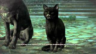 The Witcher 3: Hearts of Stone - Scenes From A Marriage: Black Cat &amp; Dog Violet Rose Caretaker Chat