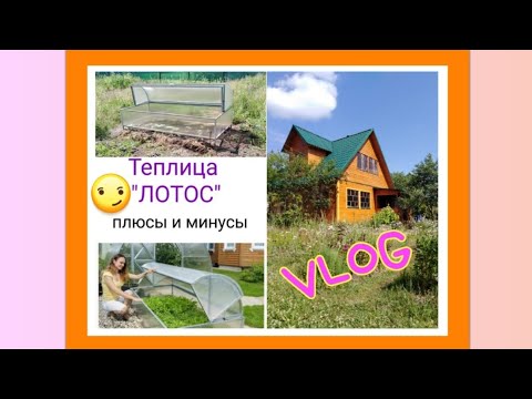 VLOG / Июнь - ЗАСУХА! ТЕПЛИЦА "ЛОТОС" плюсы и минусы / Elena Pero