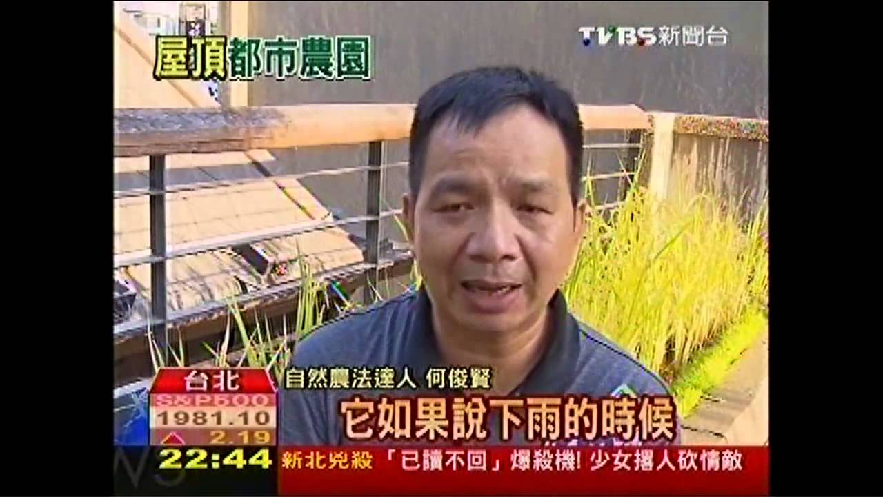 撫台街洋樓變身 古蹟頂樓種水稻