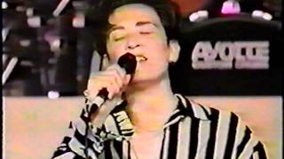 k.d.lang - Miss Chatelaine/Pullin&#39; Back The Reins &amp; interview