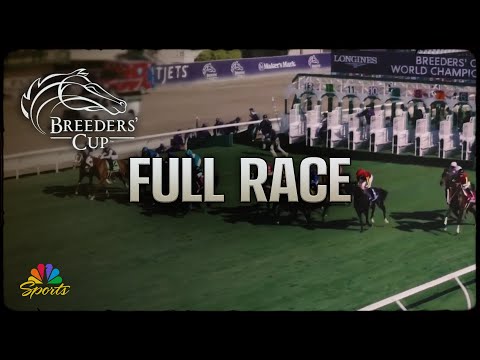 2024/11/3(日) ブリーダーズカップターフ(G1)