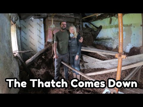 The Thatch comes Down. Episode 40