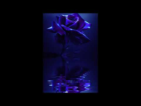 Olek WOM - Życzę Tobie