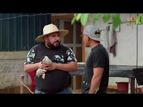 Agapito Diaz/Le Vendo Un Pato.