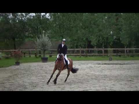 Malekeh vd Maltahoeve