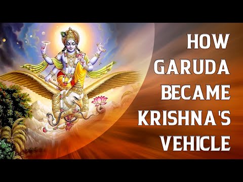 How Garuda became Lord Krishna's Vehicle: The Story of Devotion and Divine Favor (@divinenovel)