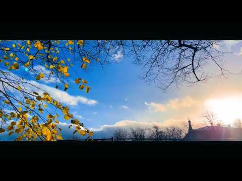 Autumn Beauty in Riga – Stunning Fall Colors and Hidden Gems! 🍁