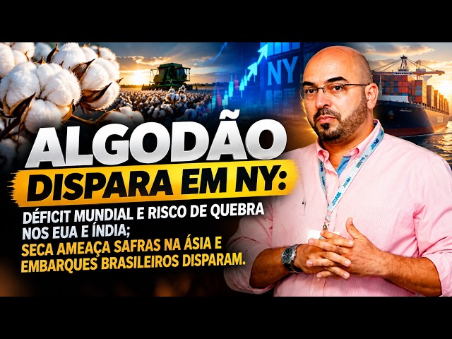 Algodão Dispara em NY: Seca Reduz Safras no Mundo e Embarques do Brasil Aceleram