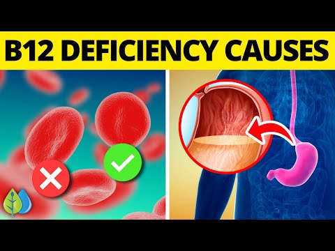 , title : 'Top 8 Causes of B12 Deficiency'