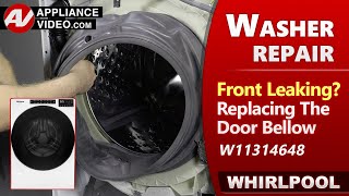 Washer Leaking Water - Door Seal Bellow Issues - Diagnostic & Repairs by Factory Technician